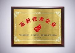 高新技術企業(yè)