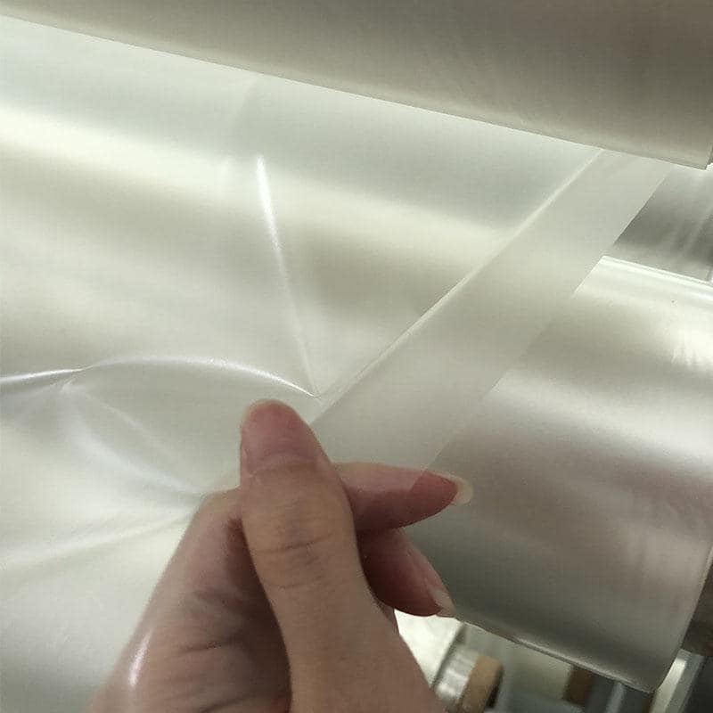 11779281.jpg 202309124404.jpg